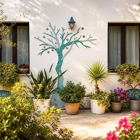 La Casa Piu Bella * كوستوناتشي